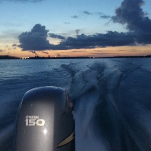 Meet your Posher, Melody - Picture 2 of 10